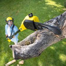 Best Lawn Mowing  in Ray City, GA